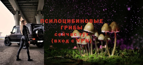 a pvp Богородск
