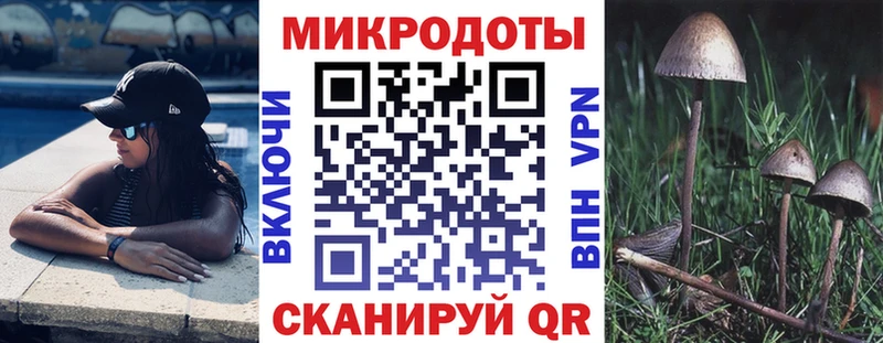 Псилоцибиновые грибы мицелий  Купить  Нерюнгри 